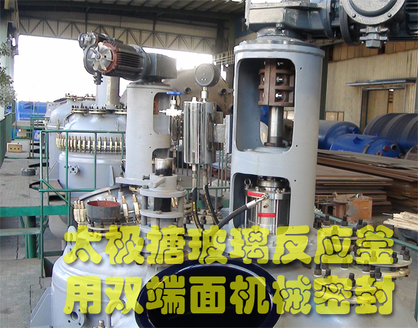 搪玻璃反應(yīng)釜用雙端面機(jī)械密封